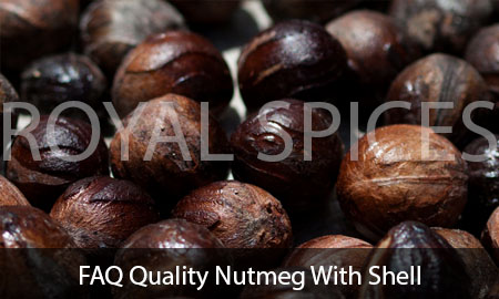 FAQ Quality Nutmeg With Shell