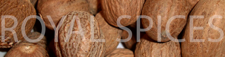 FAQ Quality Nutmeg Without Shell