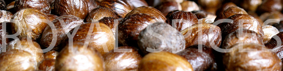 Grade 1 Quality Nutmeg With Shell from Srilanka