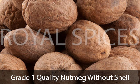 Grade 1 Quality Nutmeg Without Shell